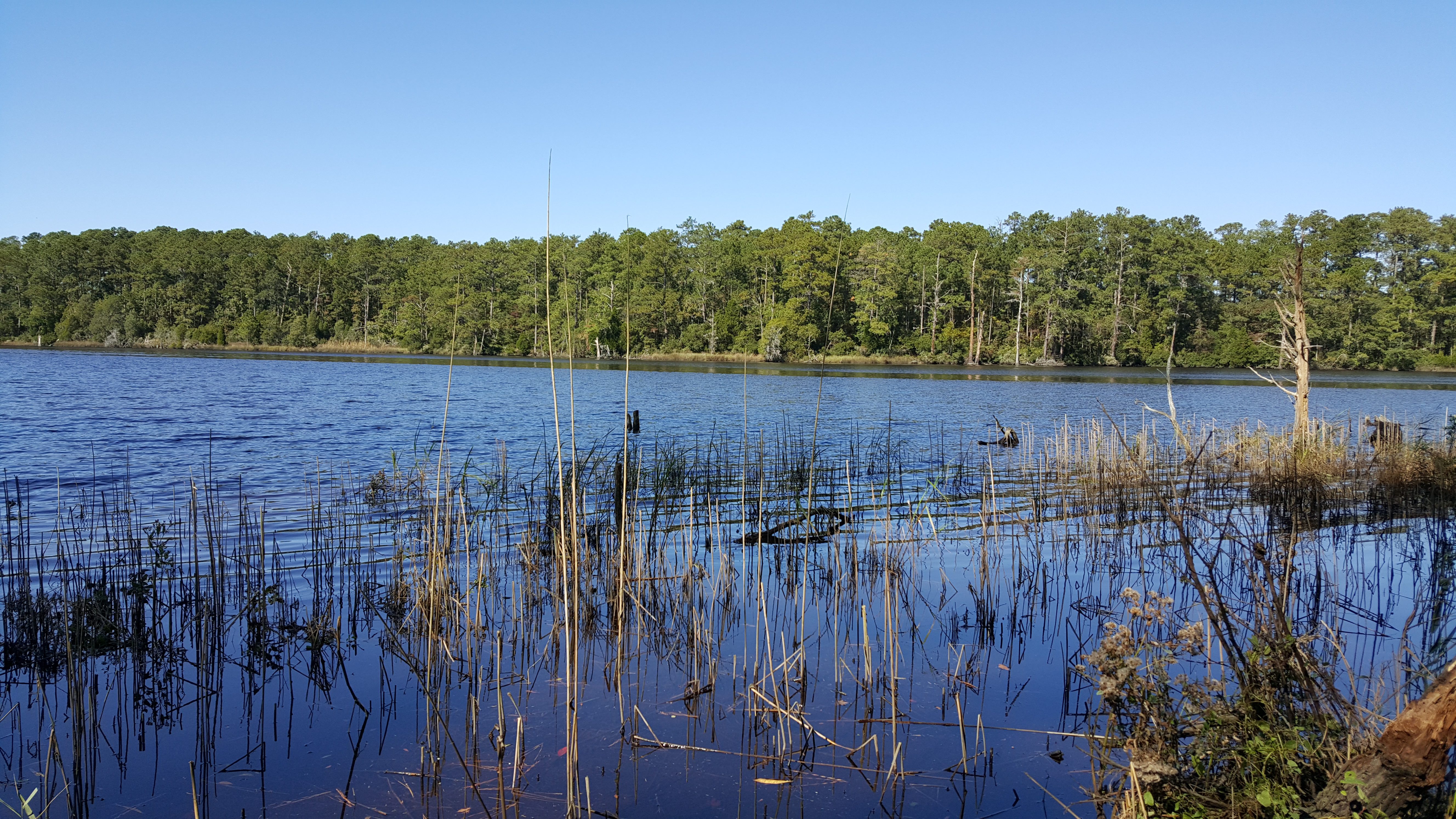 Goose Creek State Park