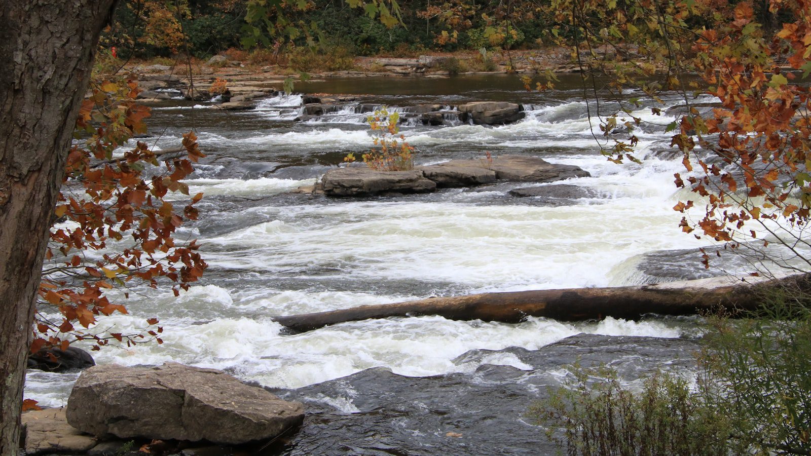 Ohiopyle State Park