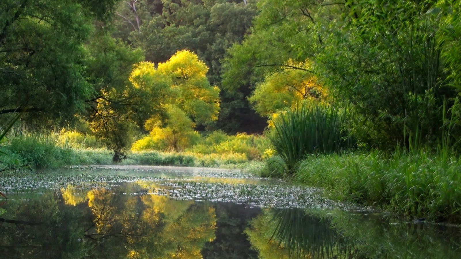 Devils Fork State Park