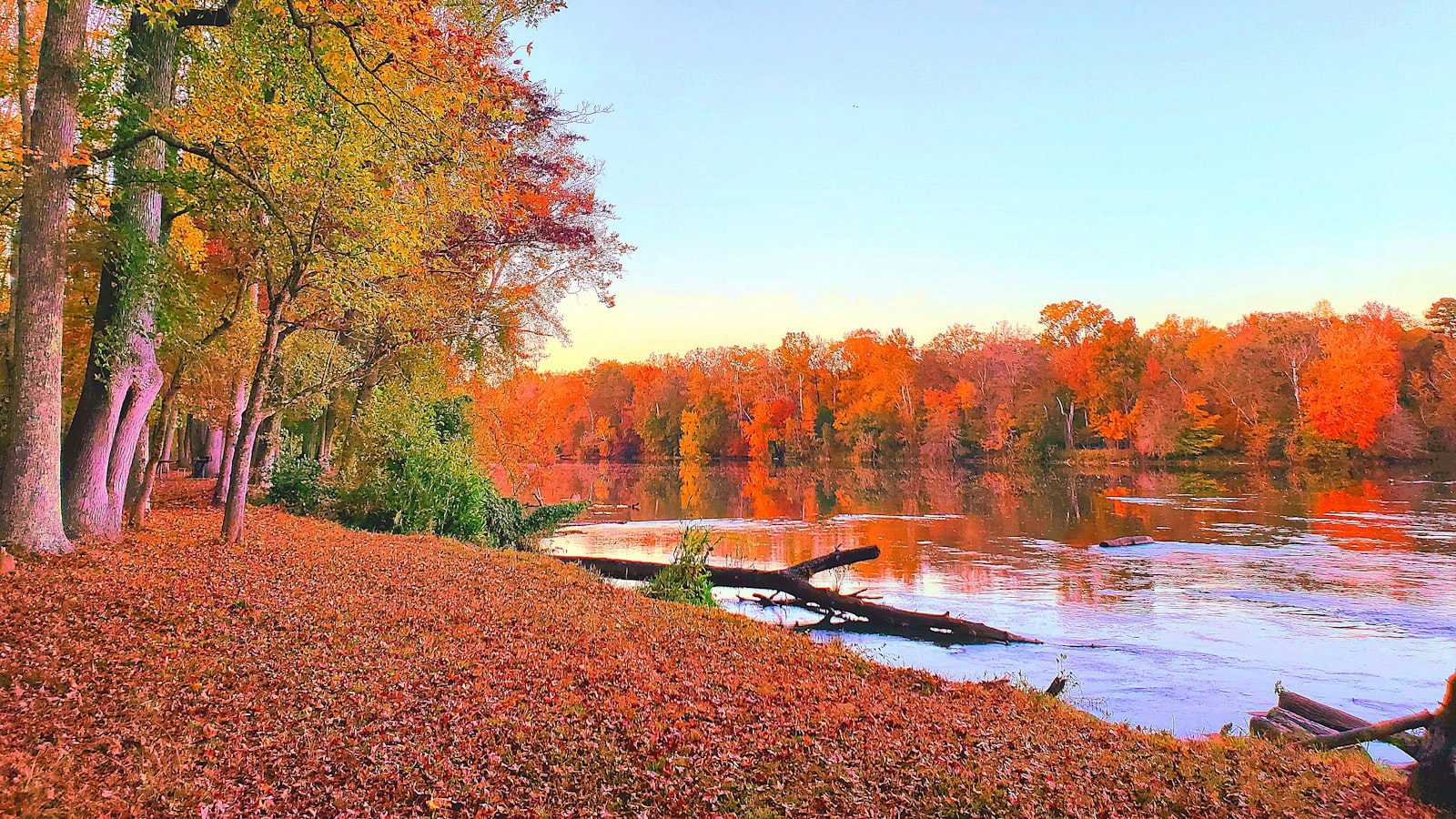 Landsford Canal State Park