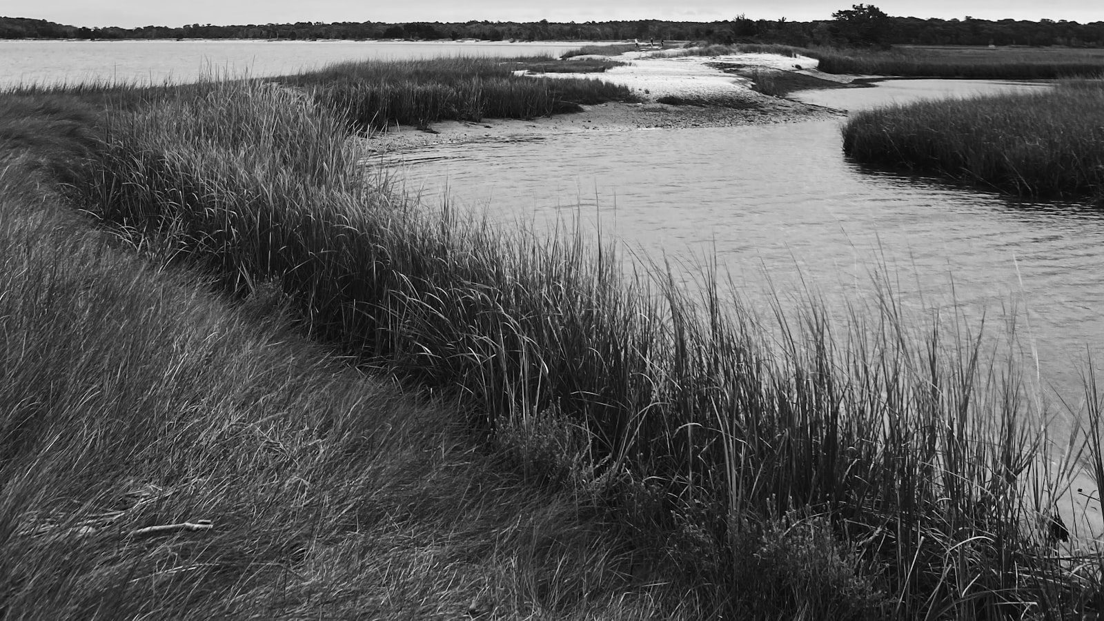 Marsh-Billings-Rockefeller National Historical Park