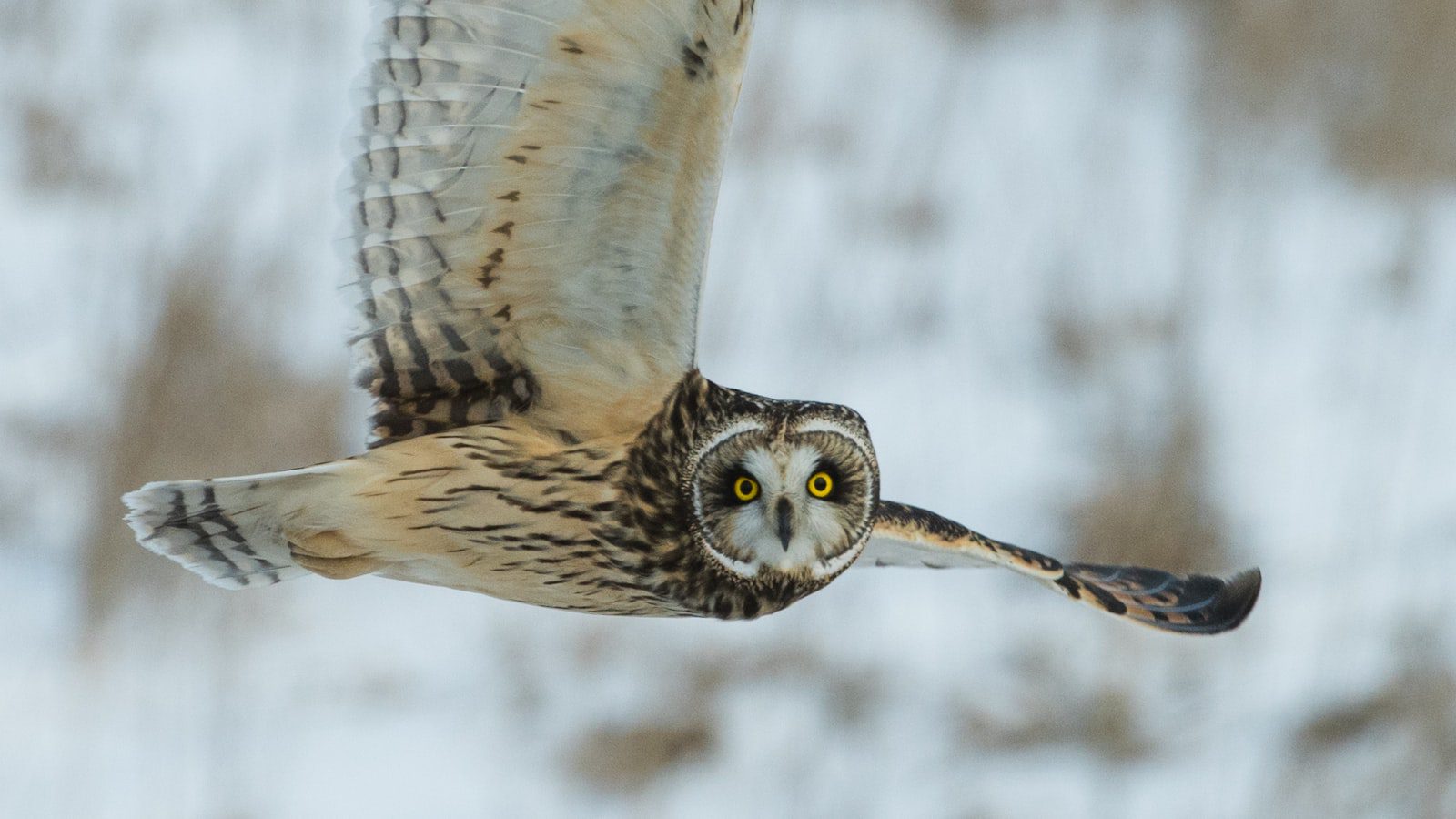 Missisquoi National Wildlife Refuge