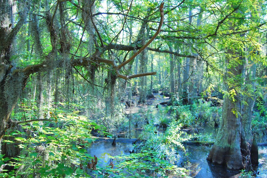 First Landing State Park