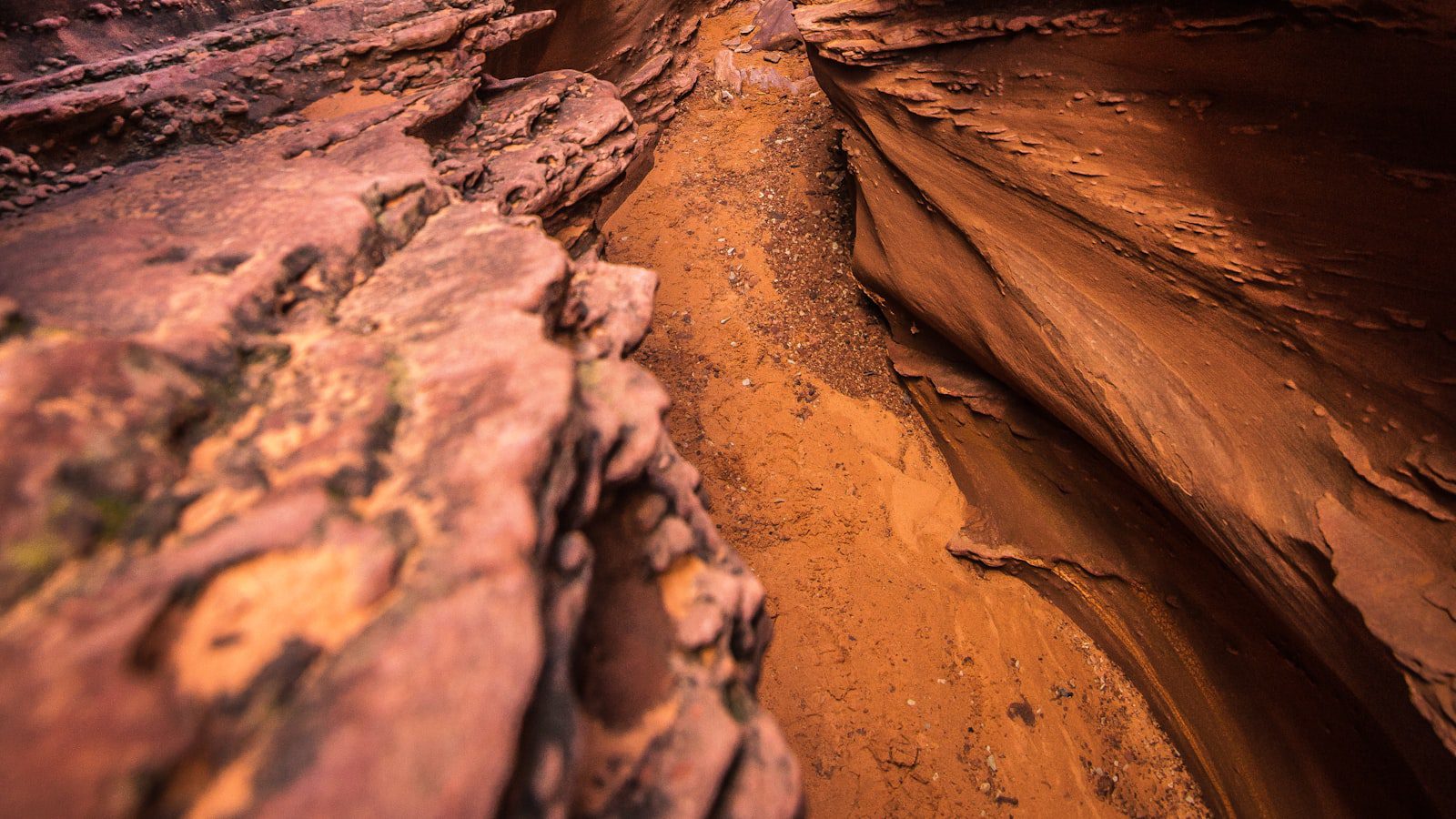 Escalante Petrified Forest State Park