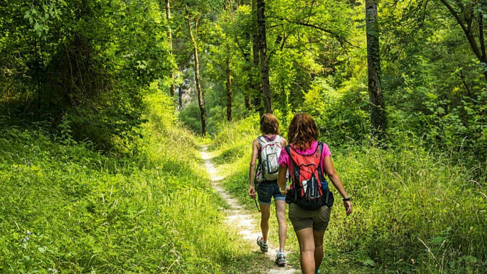 Explora las rutas de senderismo⁣ y ciclismo en Skinner Park