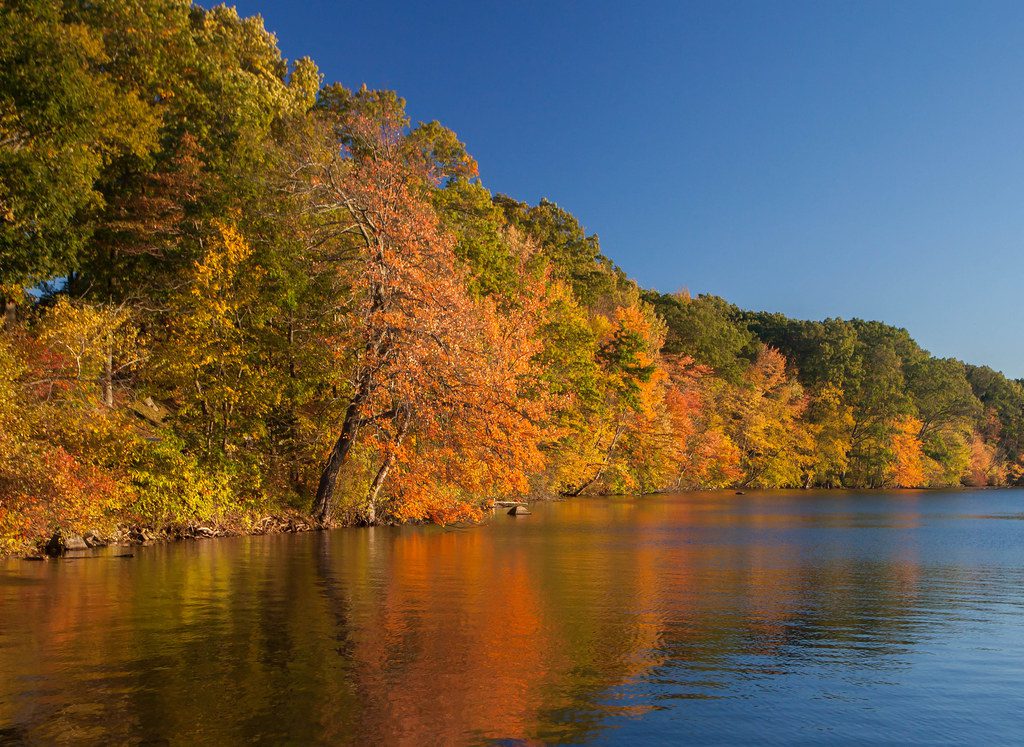 Explora la belleza natural⁢ de Lincoln Woods⁤ State Park