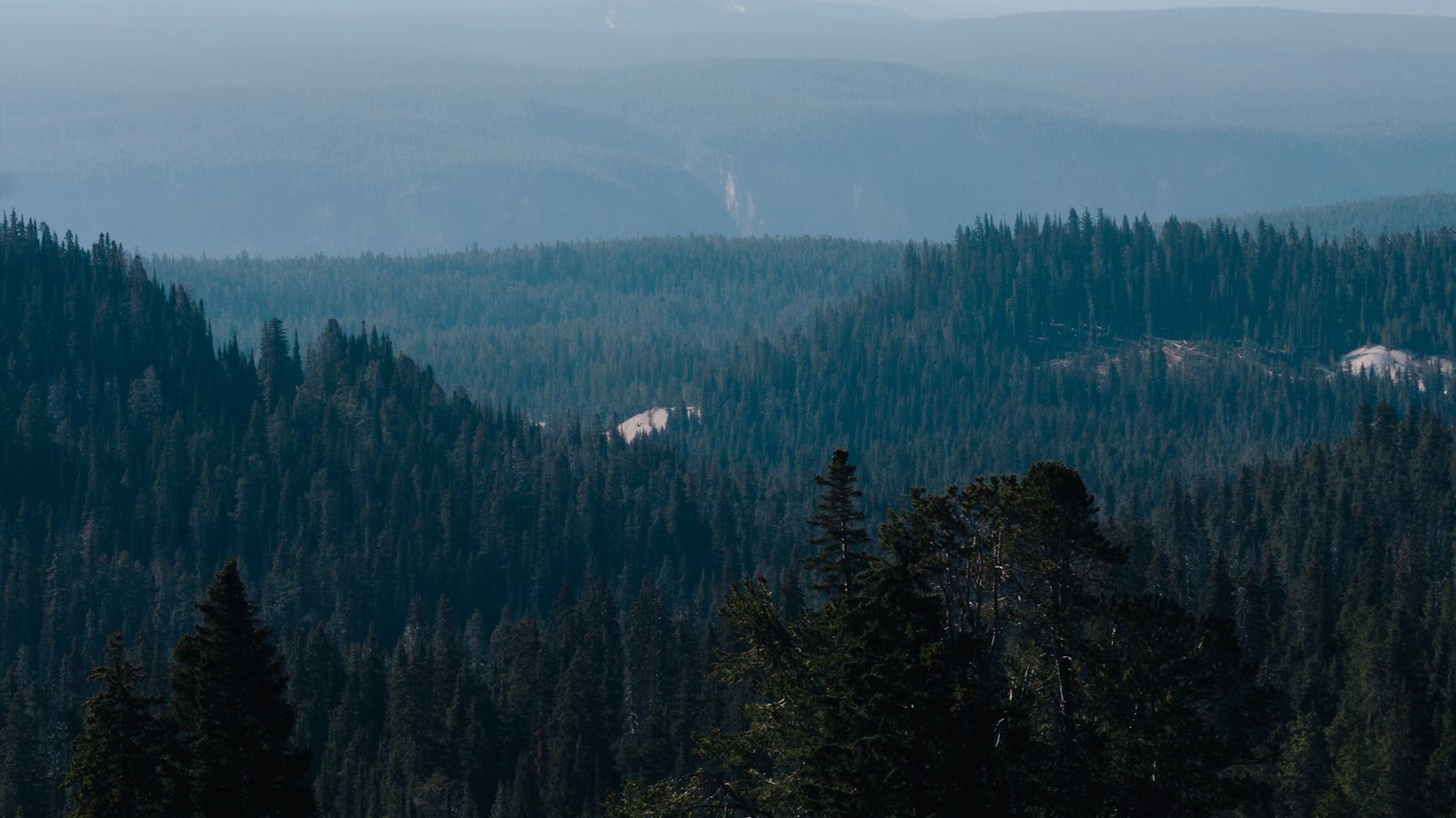 Sequoia National Park