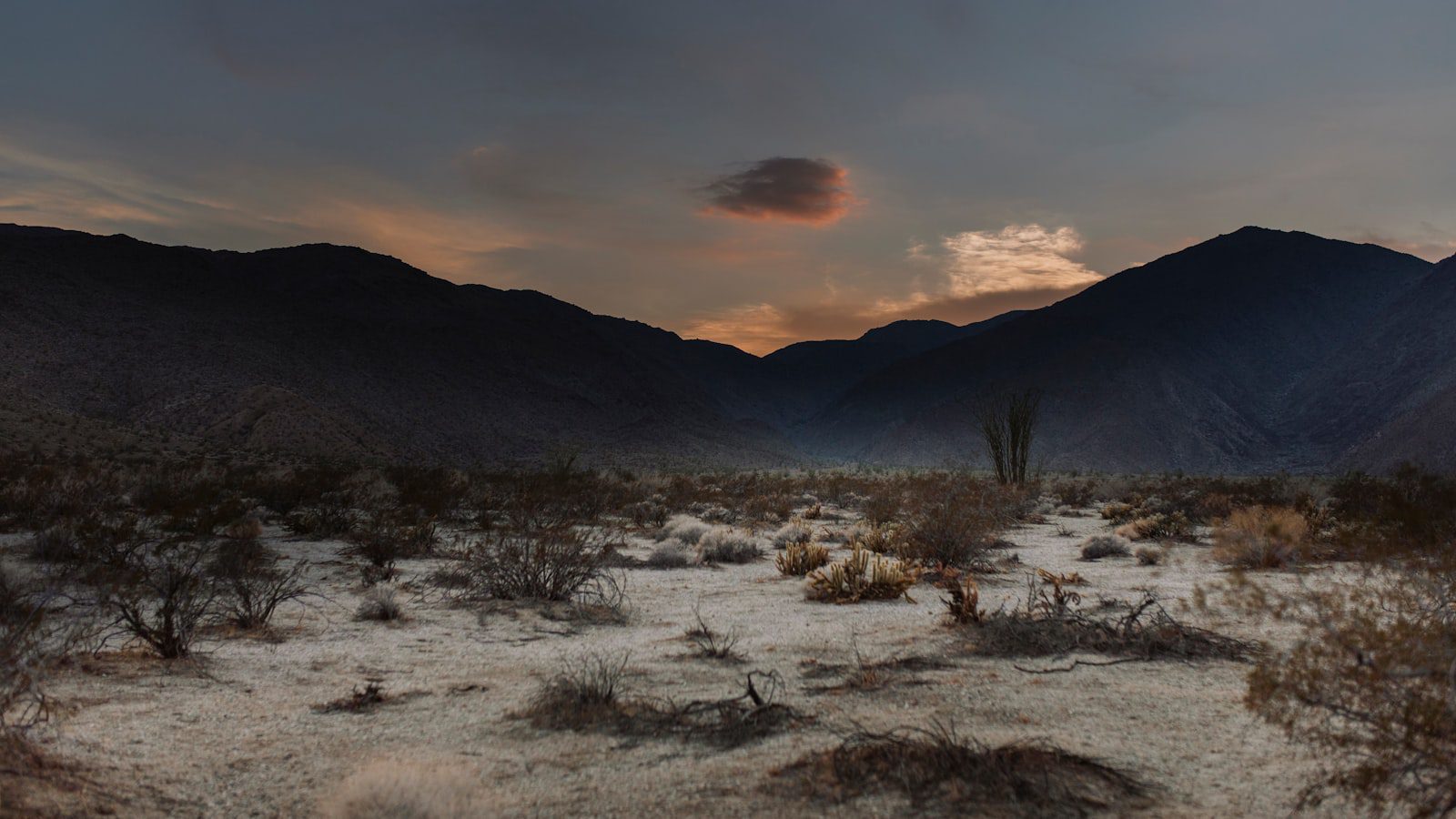 Anza-Borrego Desert State Park