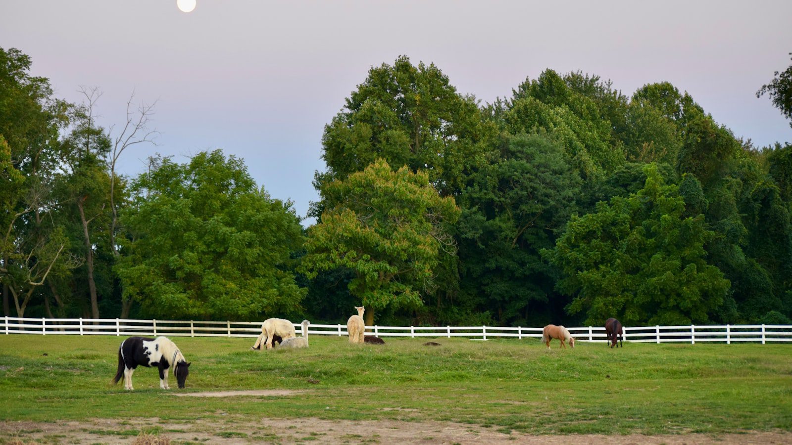 Delaware Seashore State Park