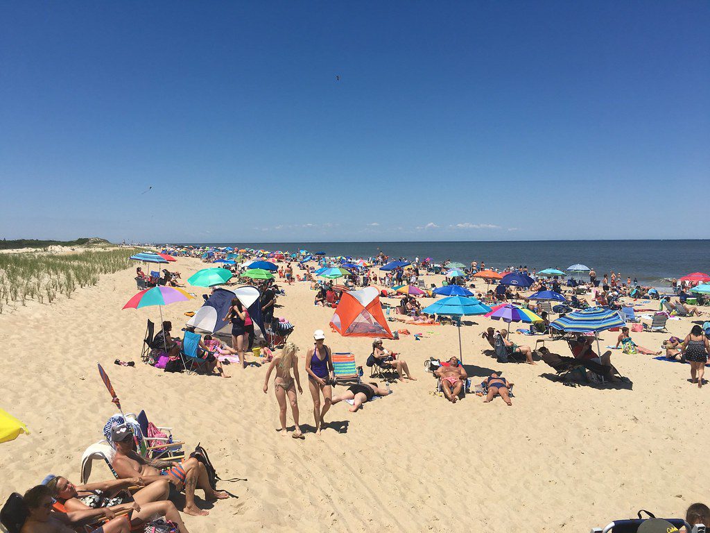 Cape Henlopen State Park