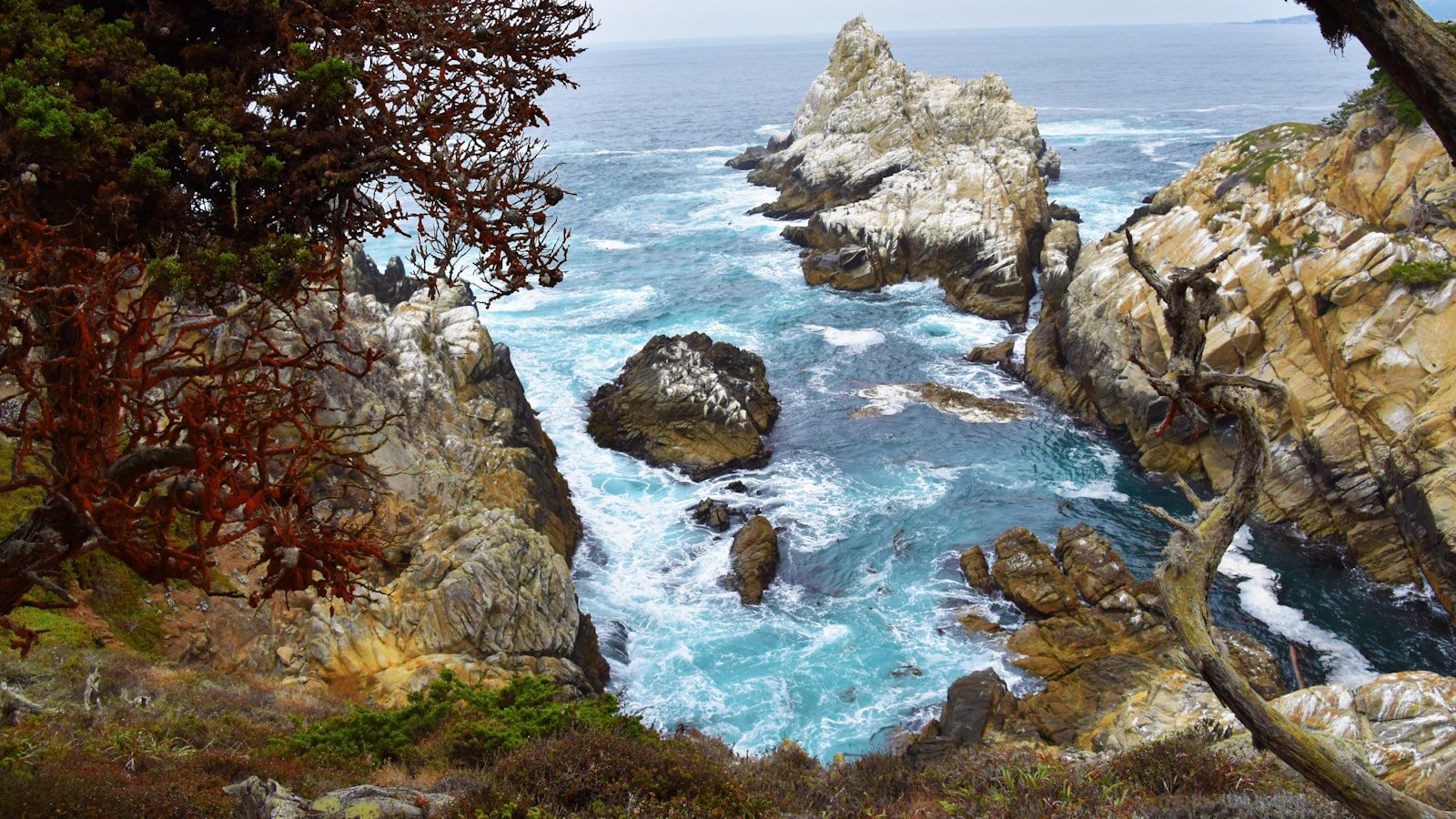 Point Lobos State Natural Reserve