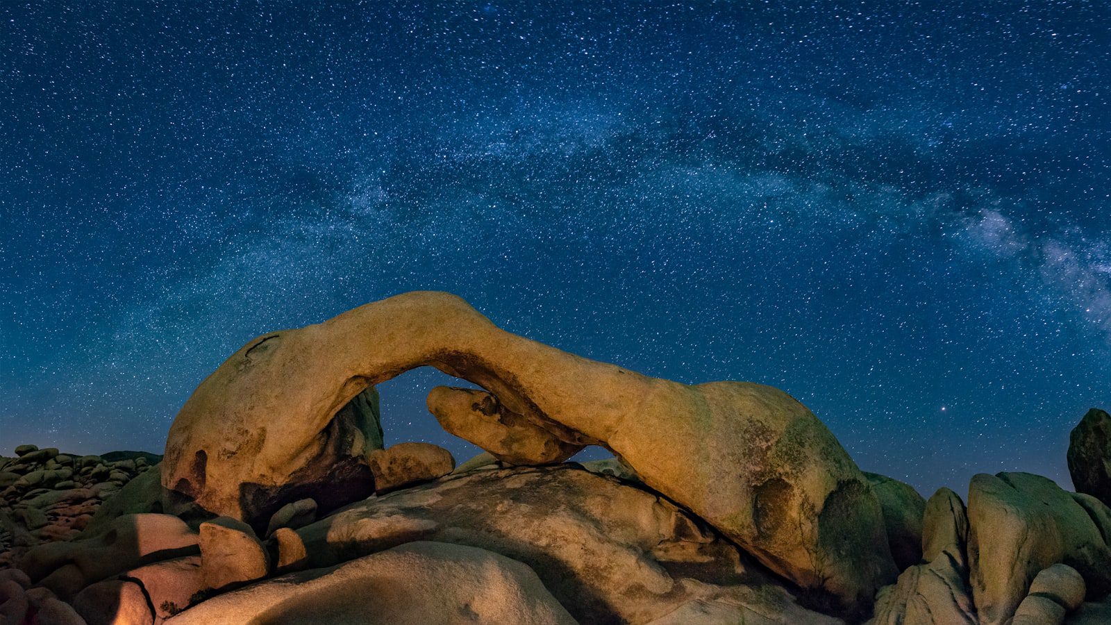 Joshua Tree National Park