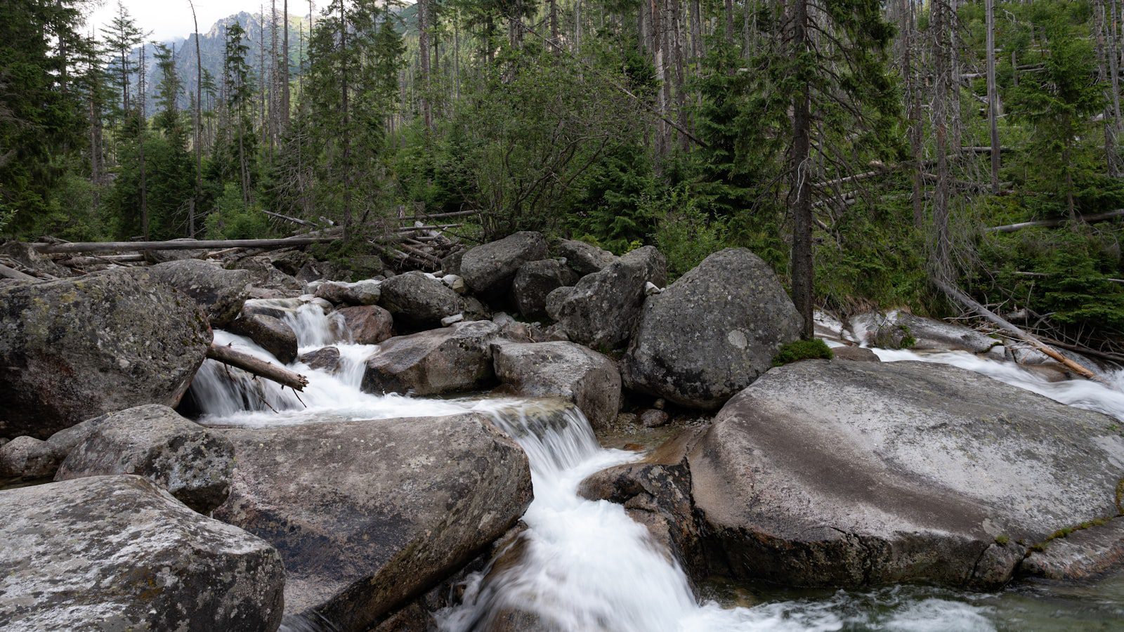 Moccasin Creek State Park