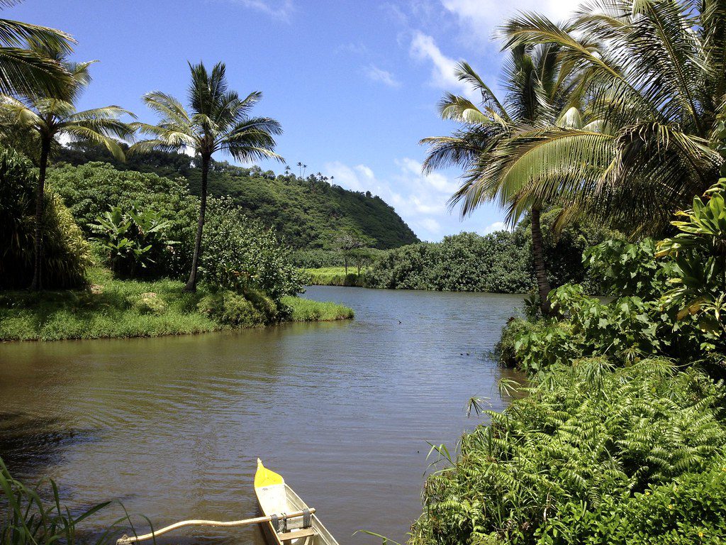 Wailua River State Park