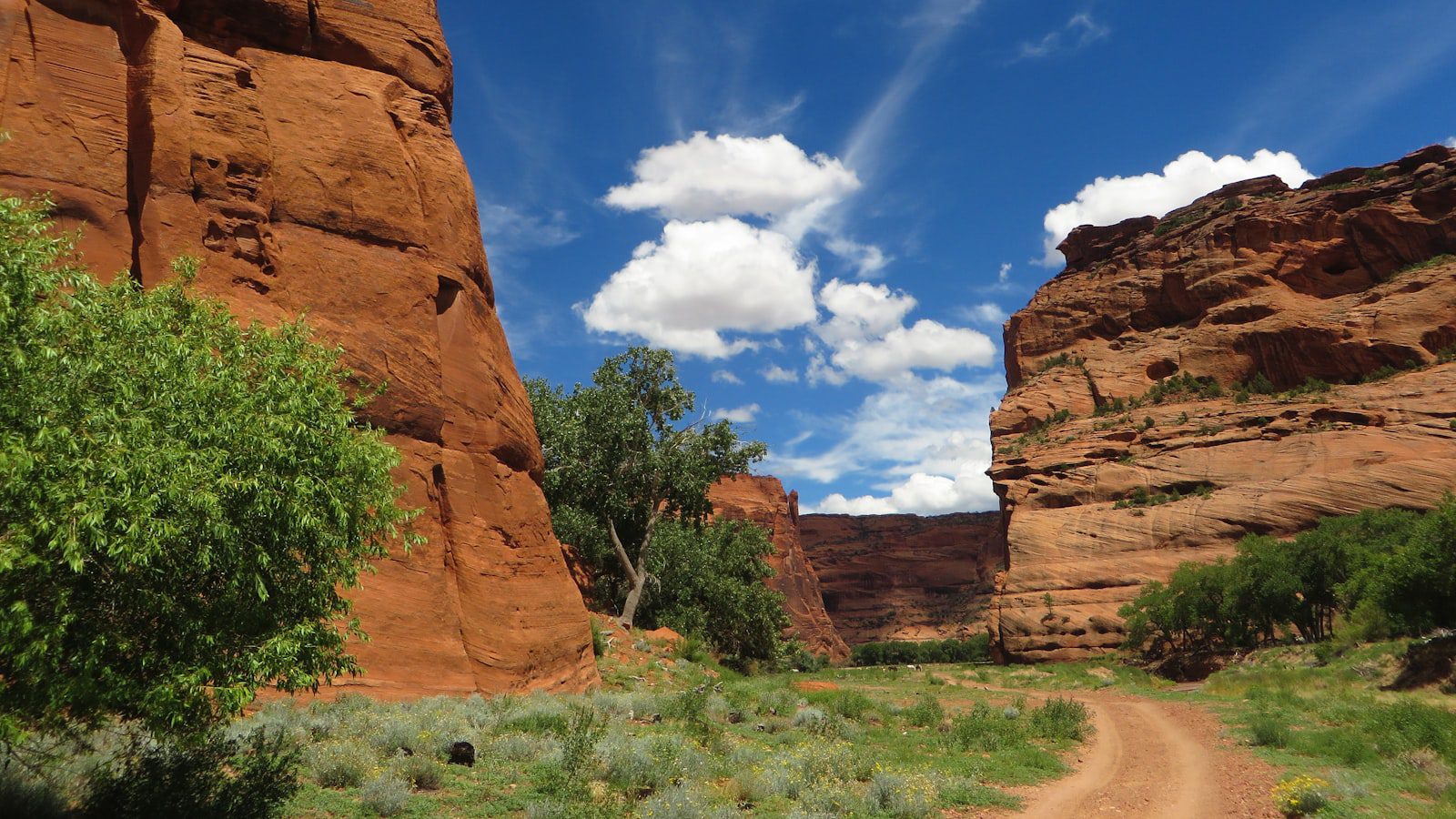 Navajo State Park