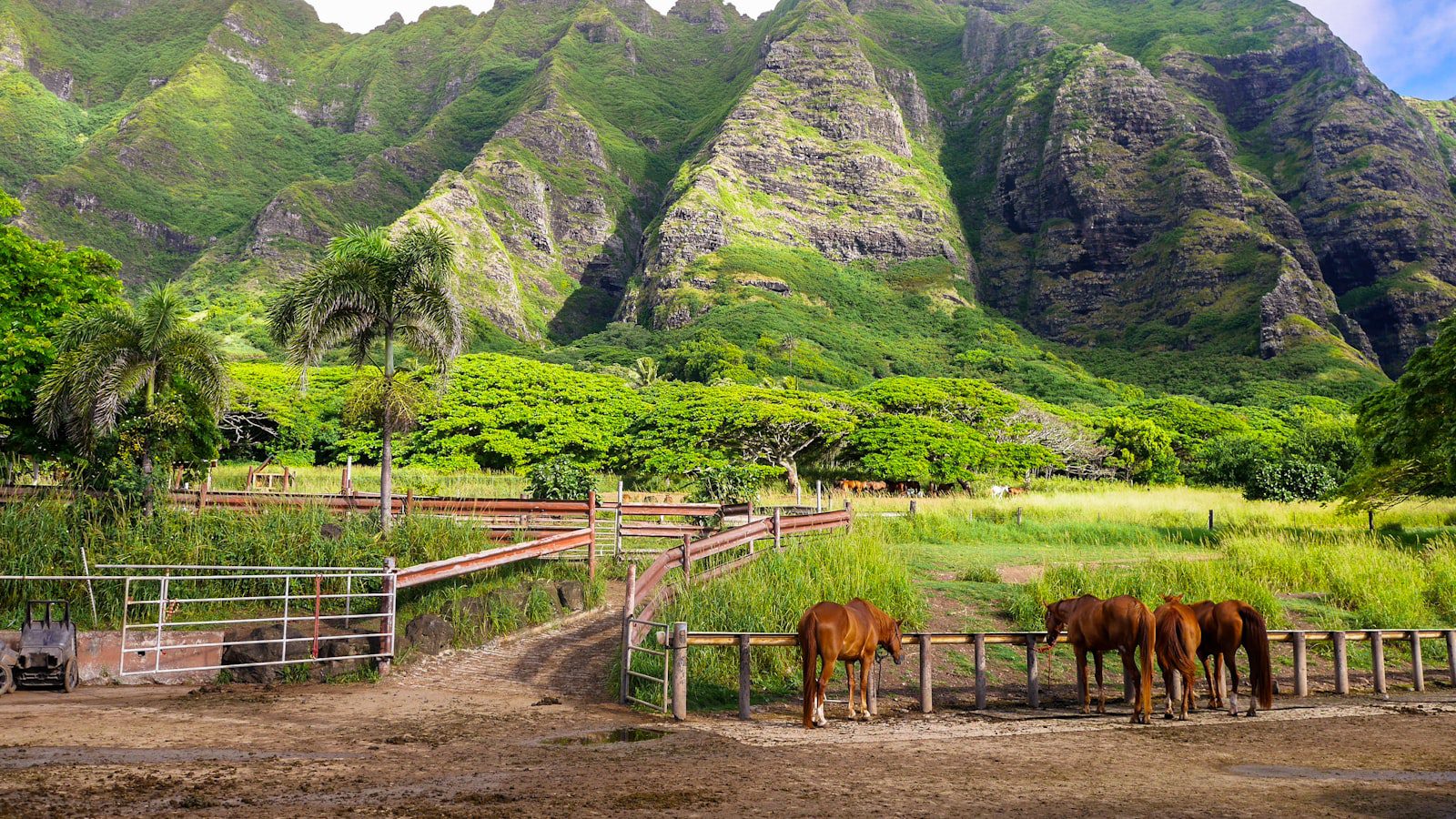 Kualoa Ranch