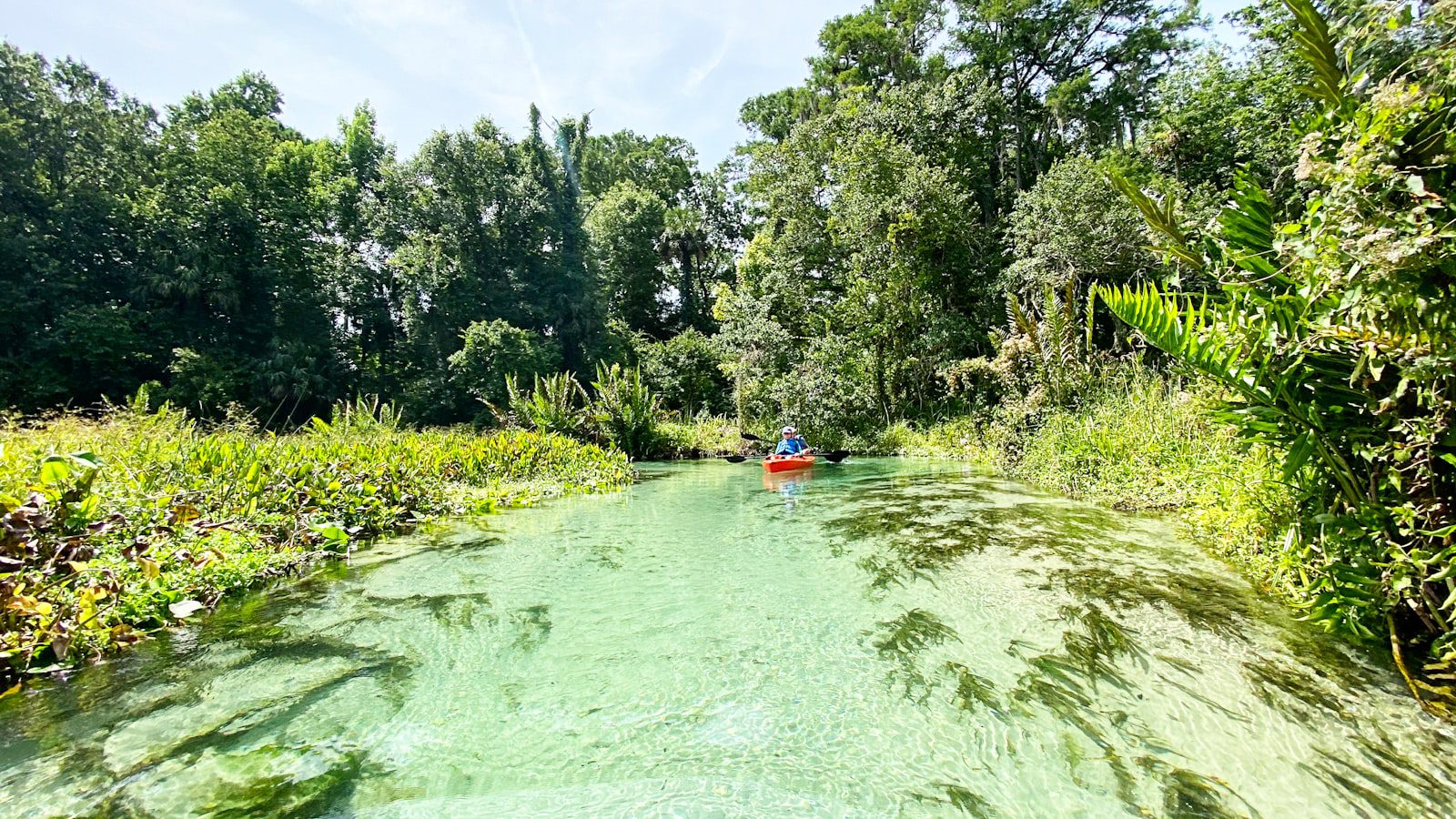 Tugaloo State Park