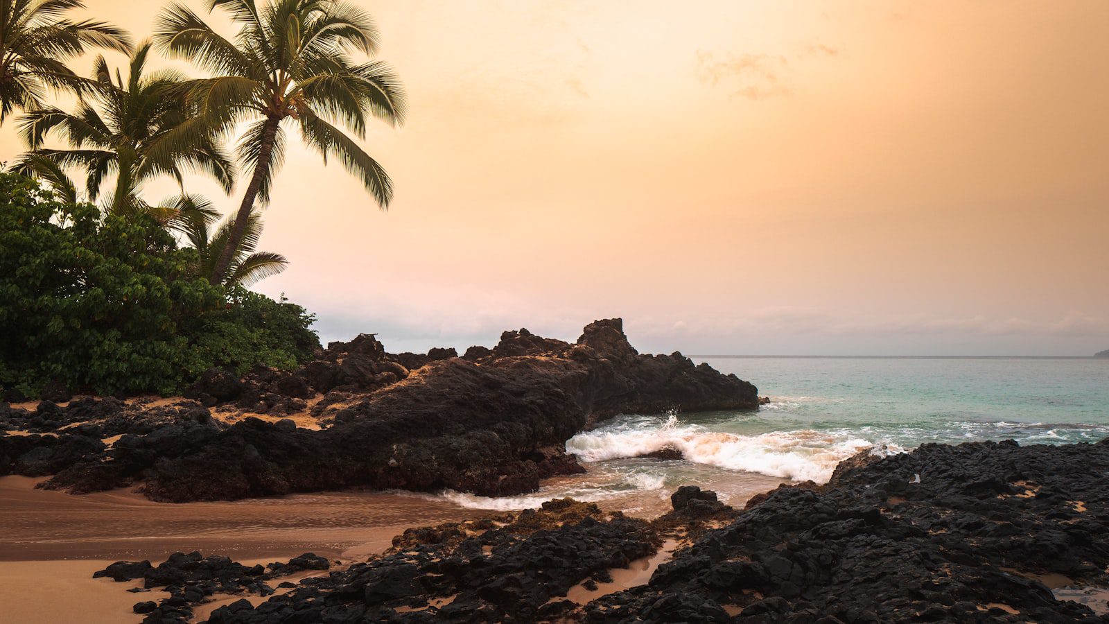 Hawaii Tropical Botanical Garden