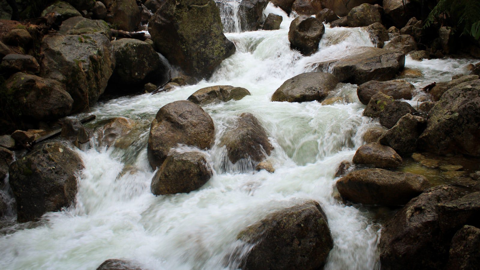 Potato Creek State Park