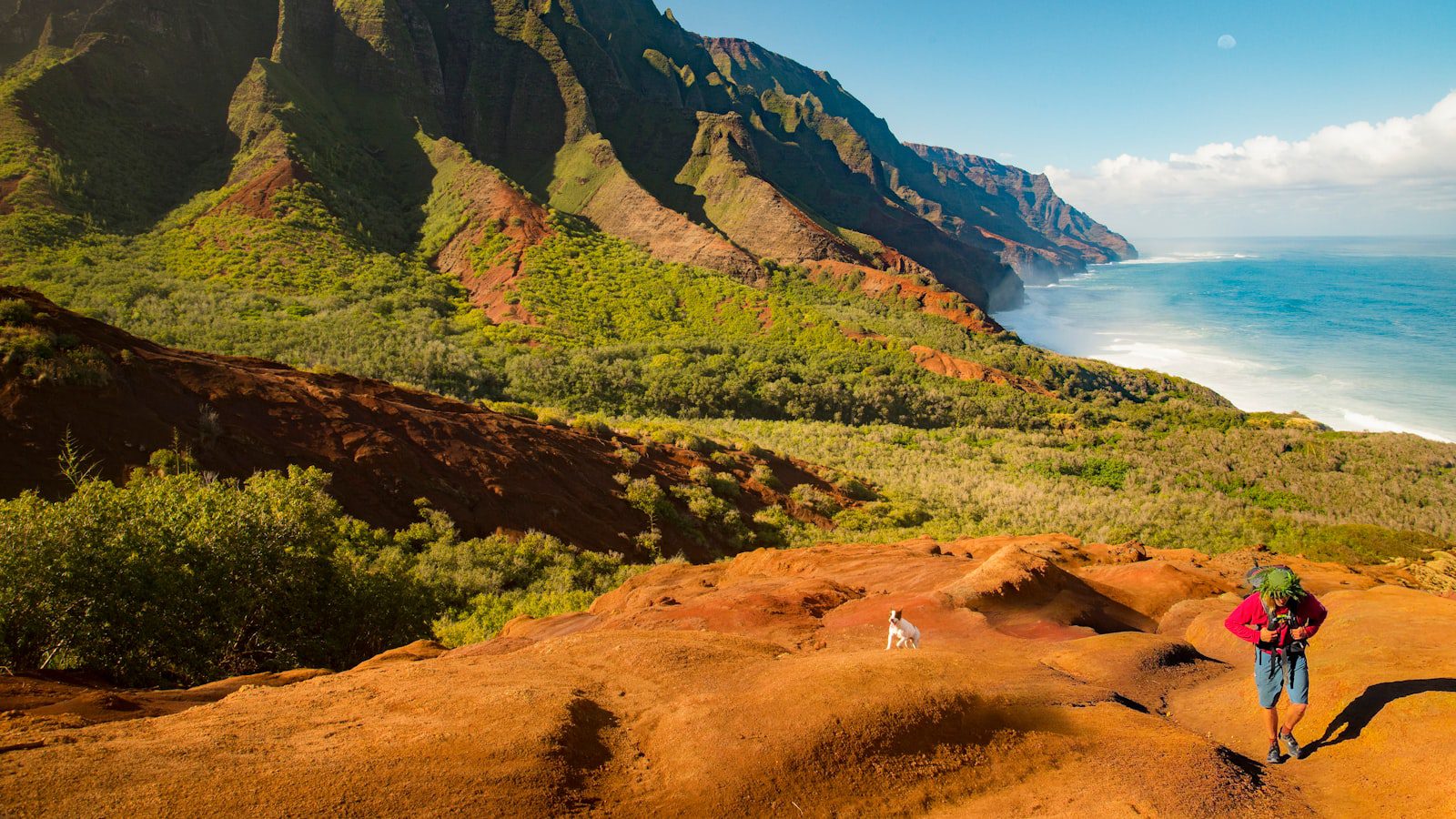 Nu‘uanu Pali State Wayside