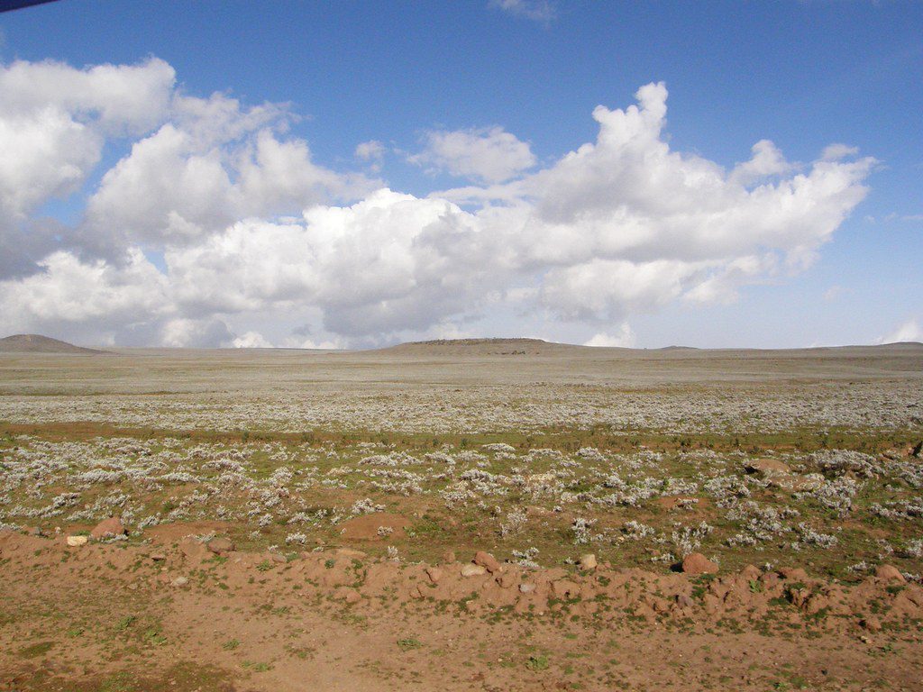 Recorriendo ‌los senderos escénicos y observando la vida silvestre