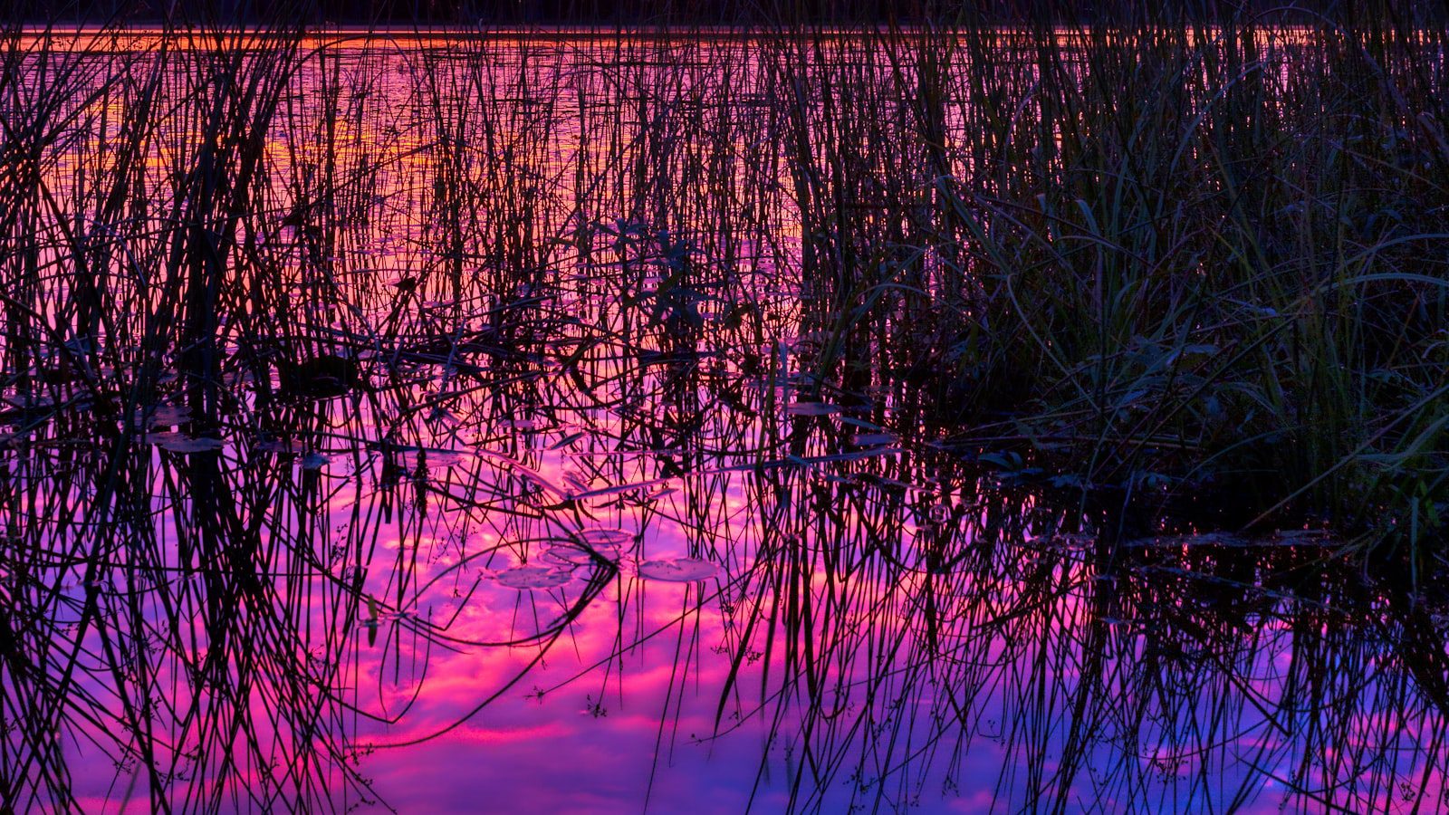 Lamoine State Park