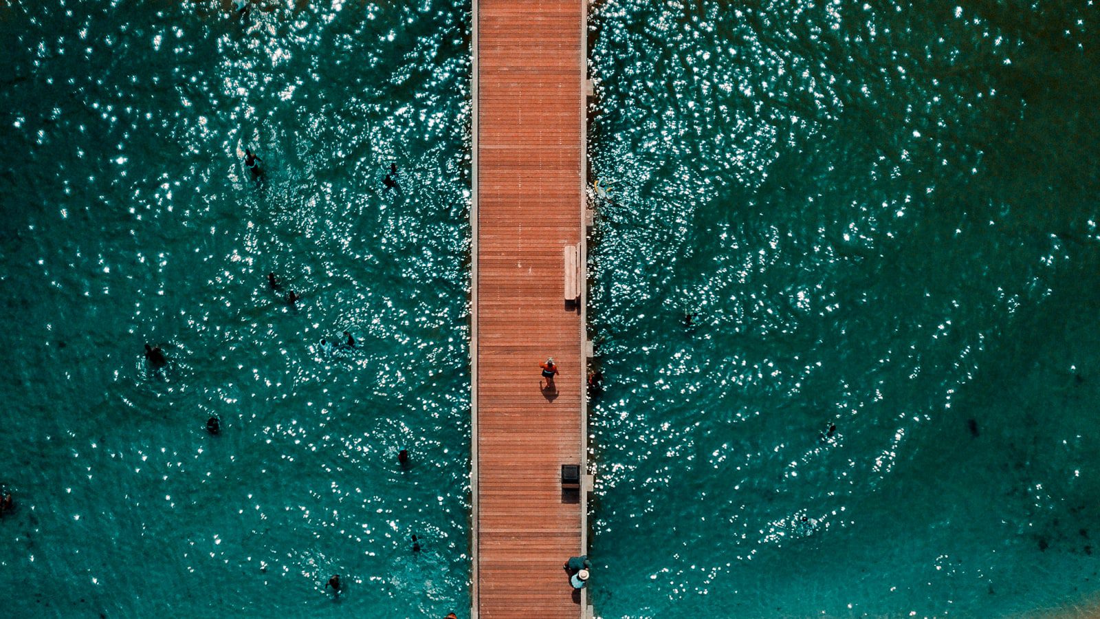 Montrose Beach