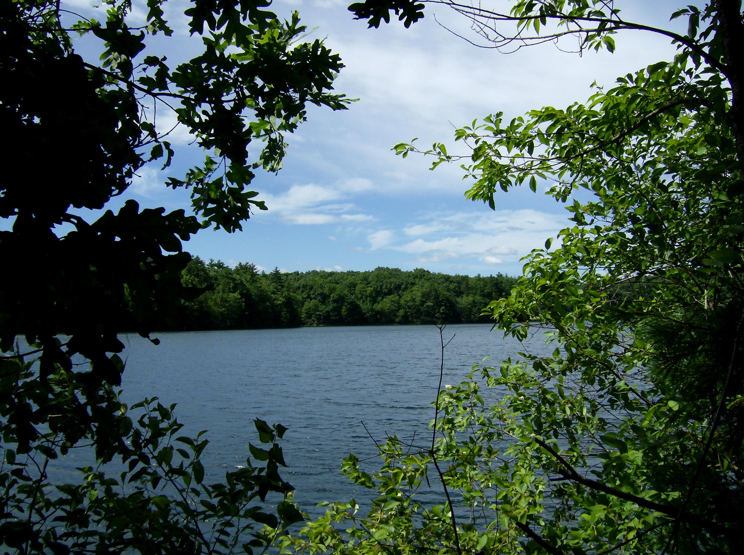 Walden Pond State Reservation