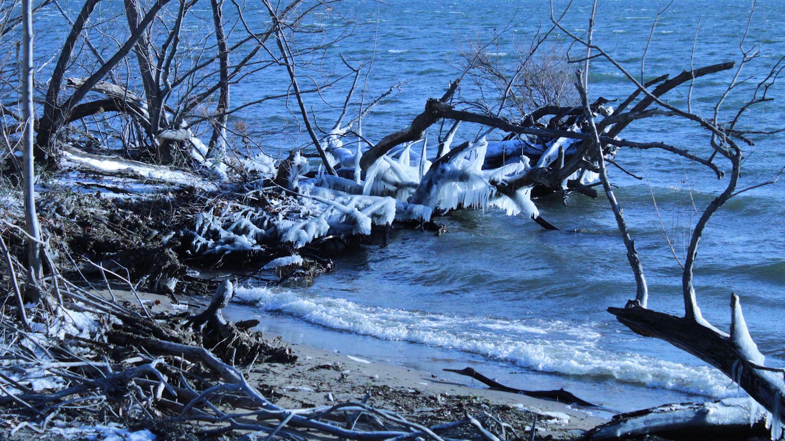 Presque Isle Park