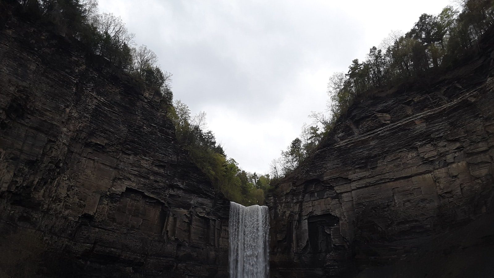 Tuckahoe State Park