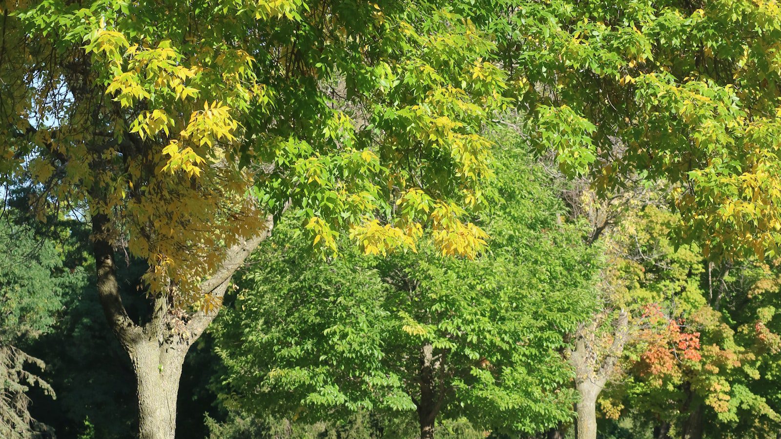 Stockton State Park