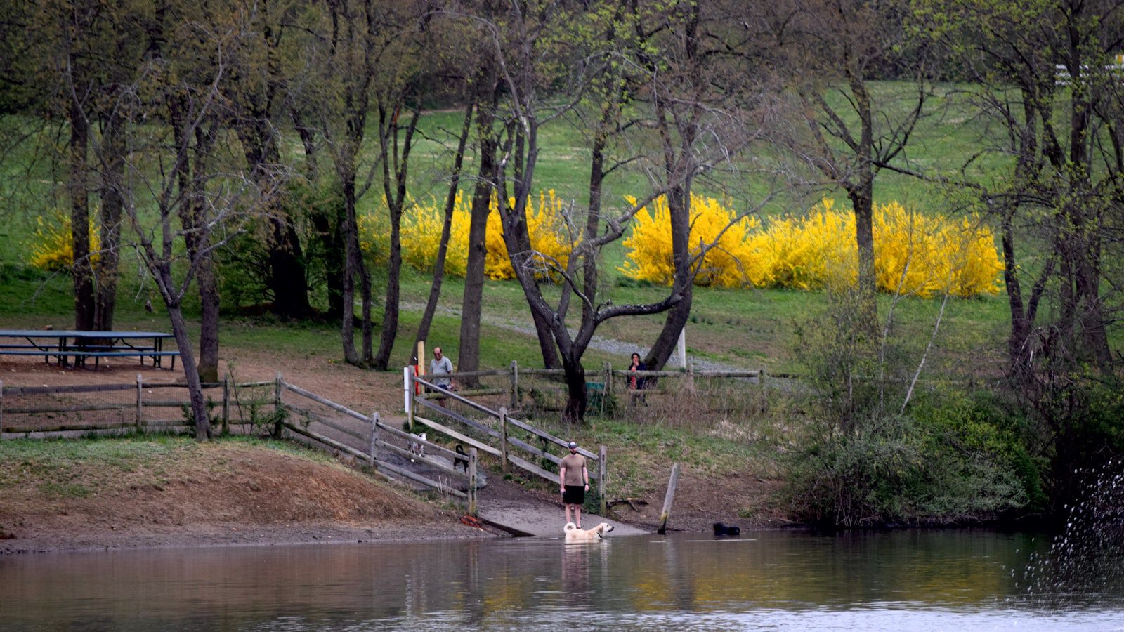 Legion State Park