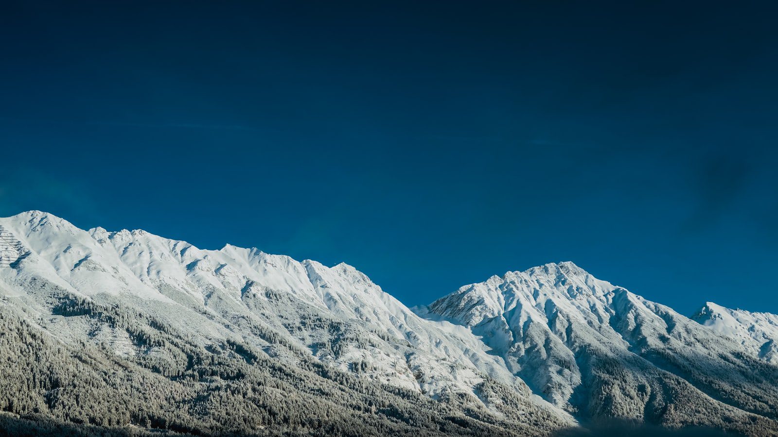 Humboldt-Toiyabe National Forest