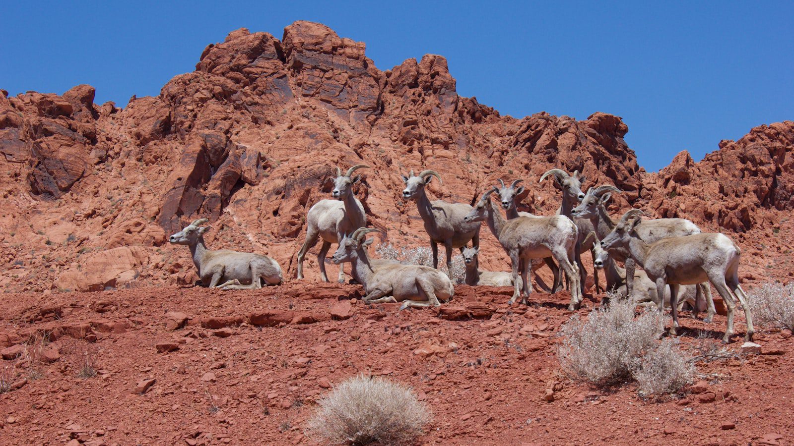 Valley of Fire State Park