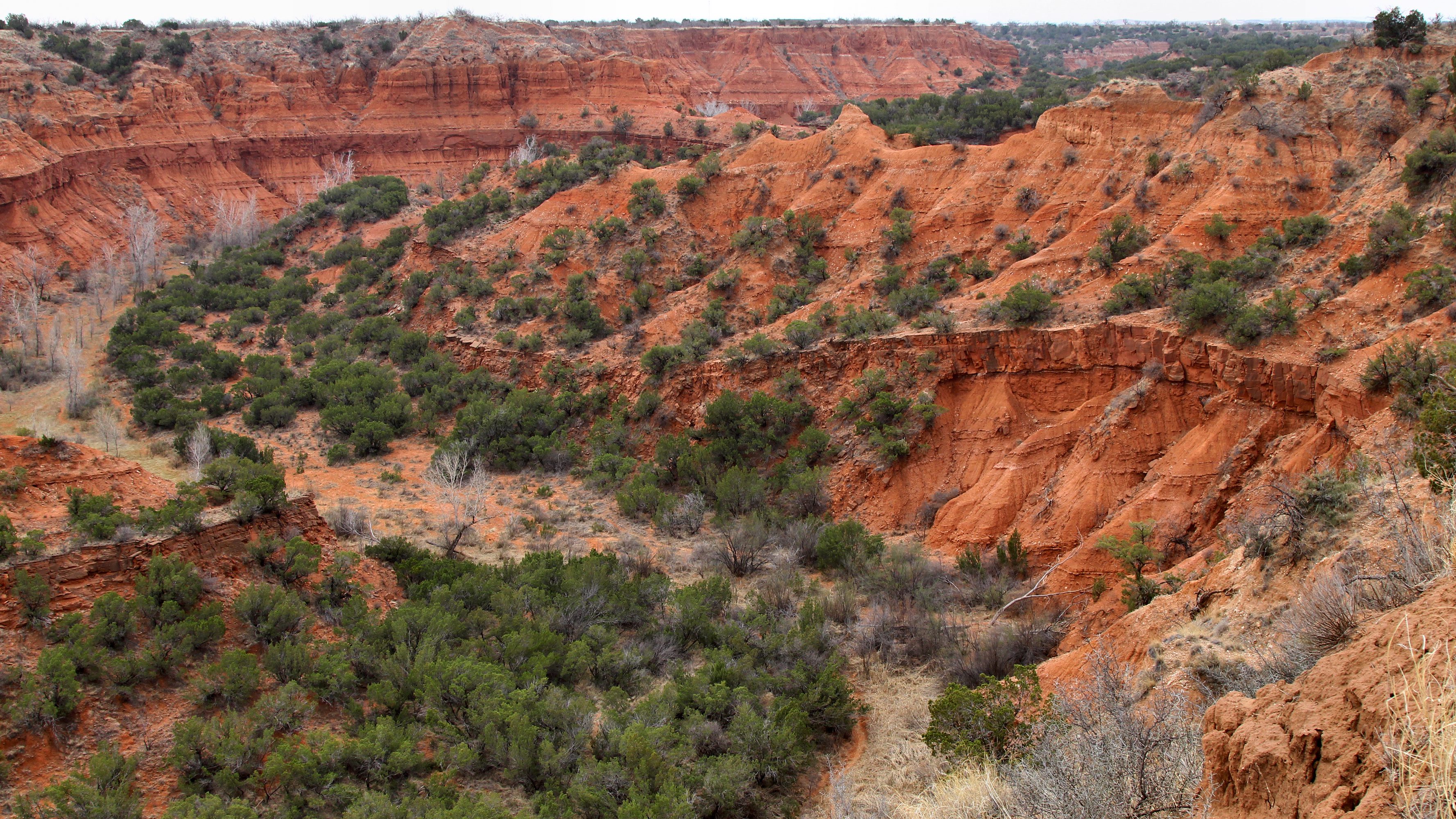 Explorando la belleza natural de Caprock Canyons State Park