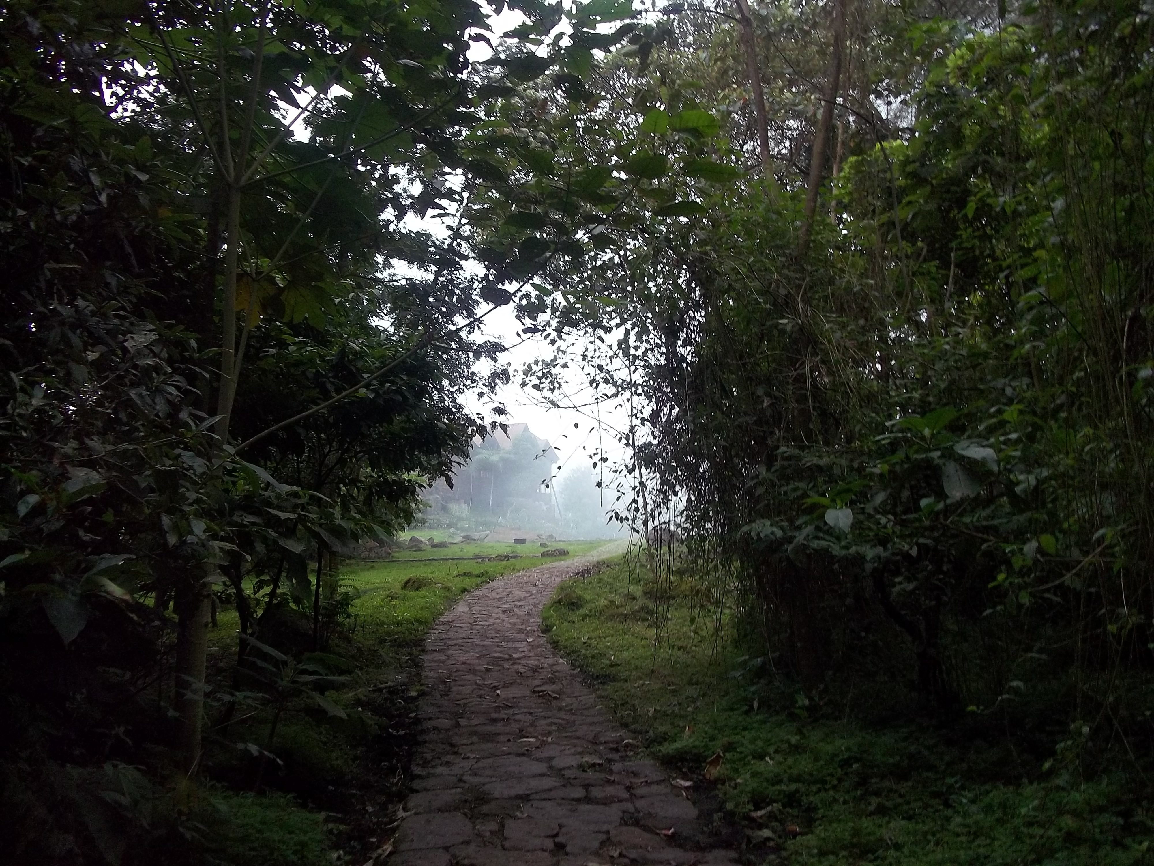 Senderos ‌para conectar con​ la naturaleza