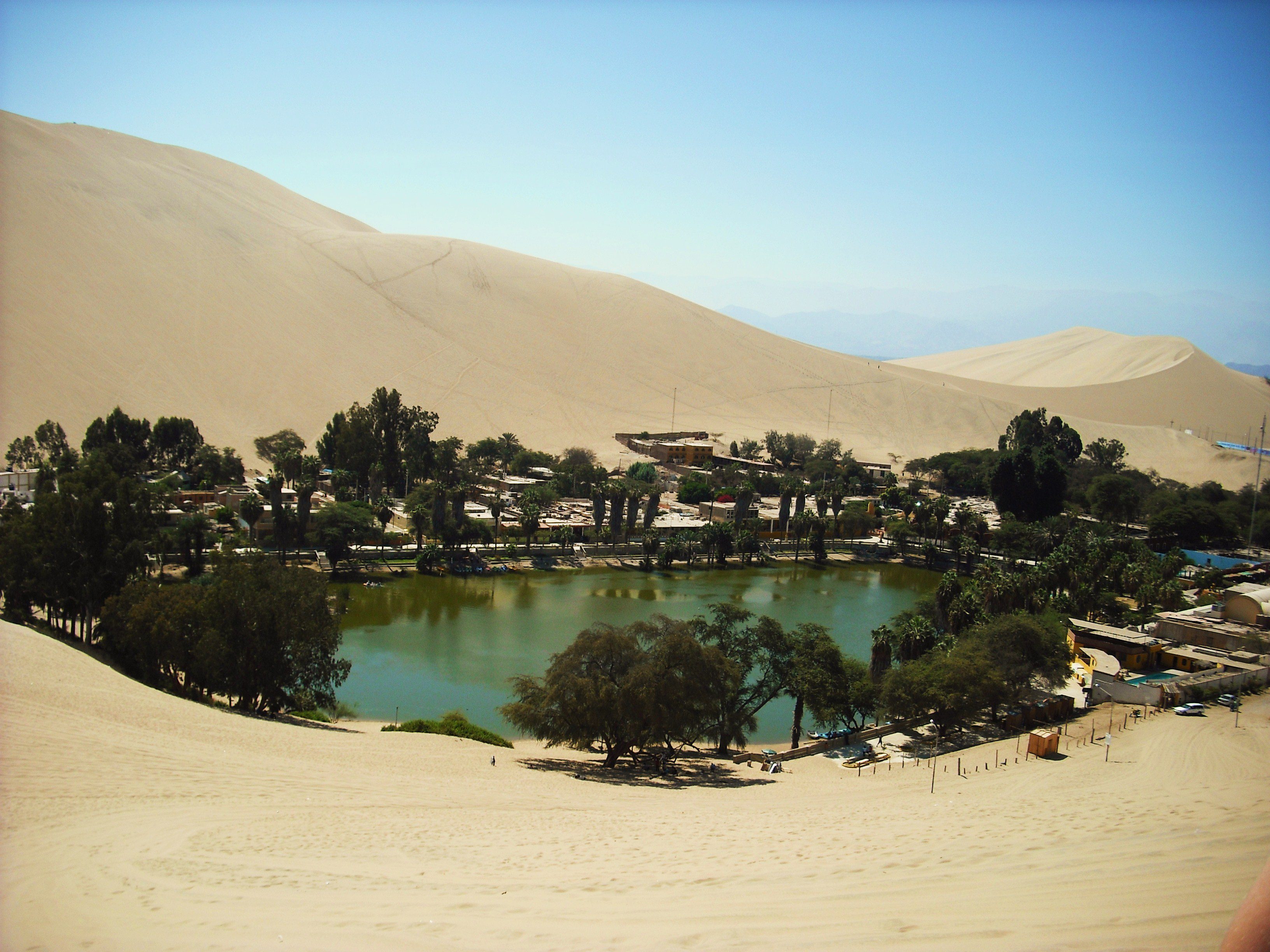 Un oasis de tranquilidad ⁢en medio de‍ la ciudad