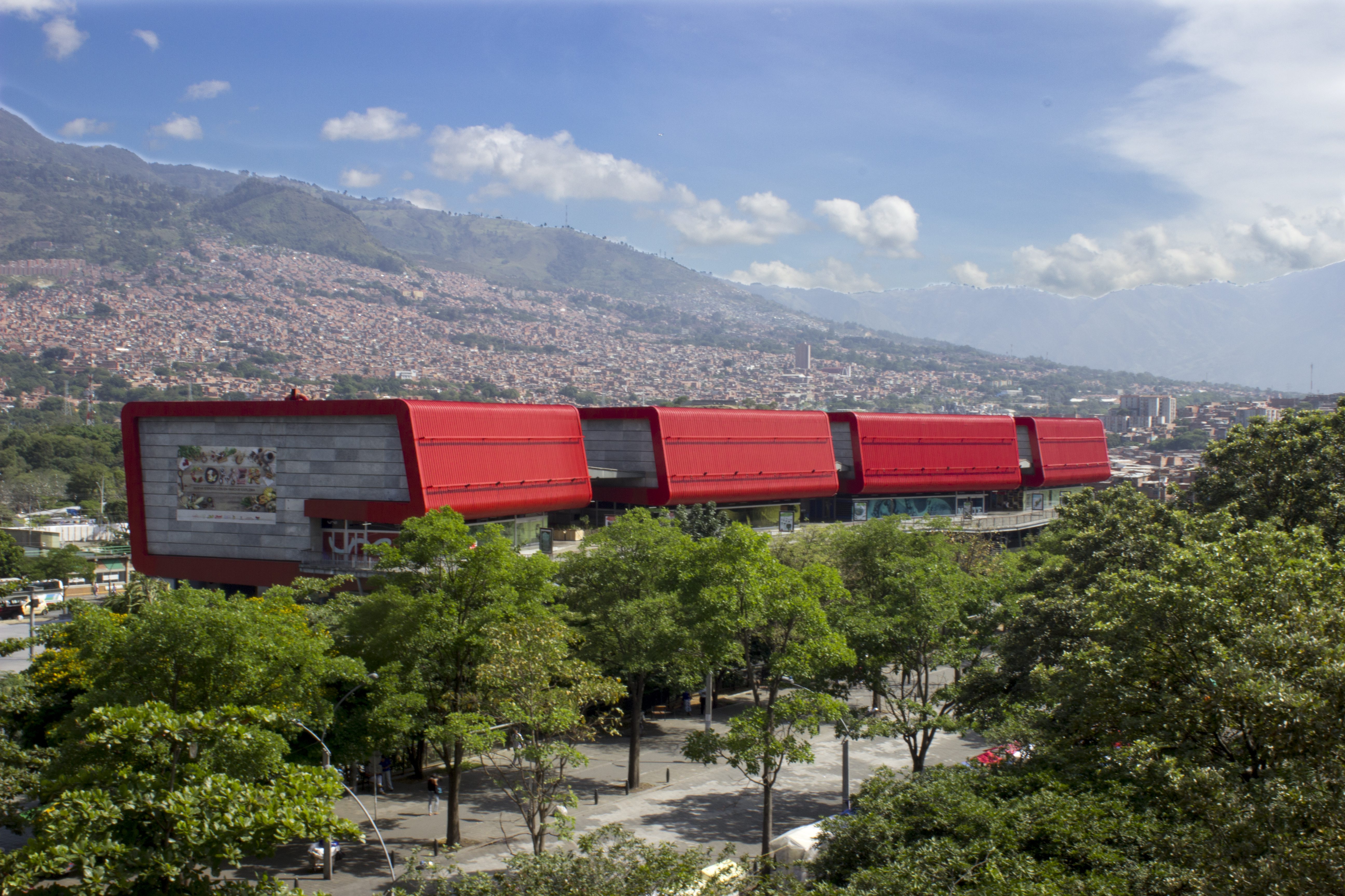 Explora la naturaleza exuberante del parque