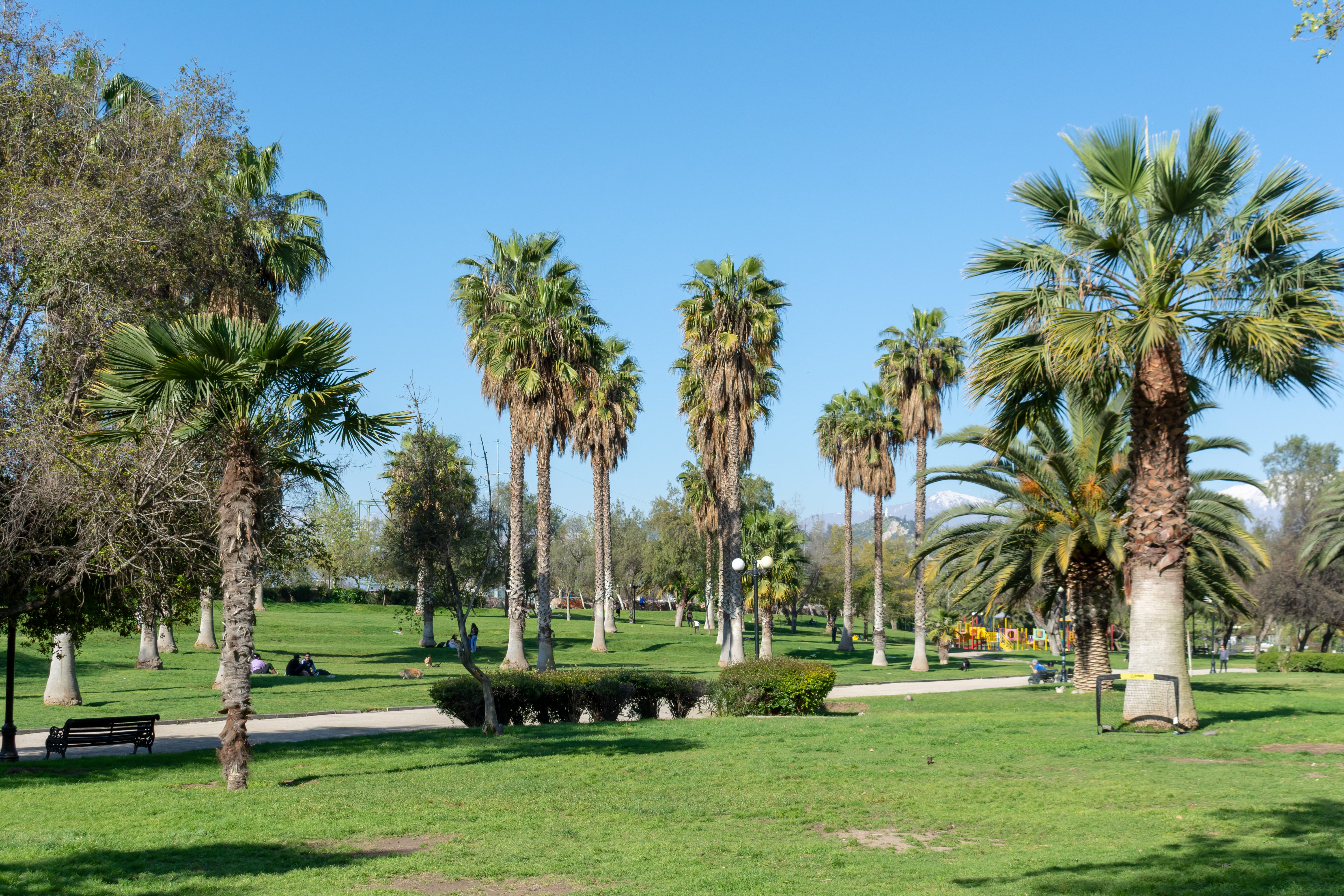 La gran diversidad‍ de vida silvestre ⁣en el ⁣parque