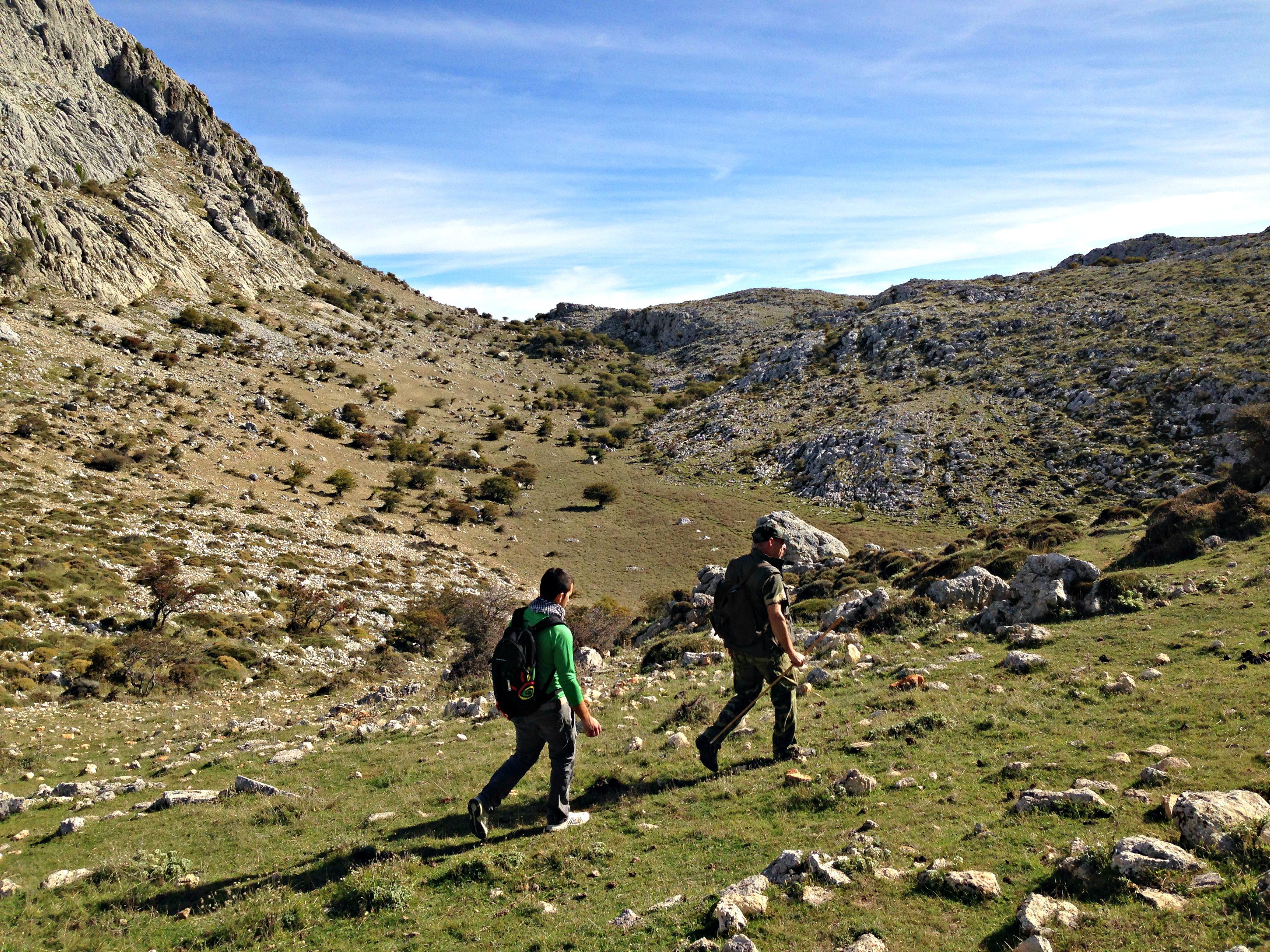 Senderismo ⁤entre bosques frondosos y montañas imponentes