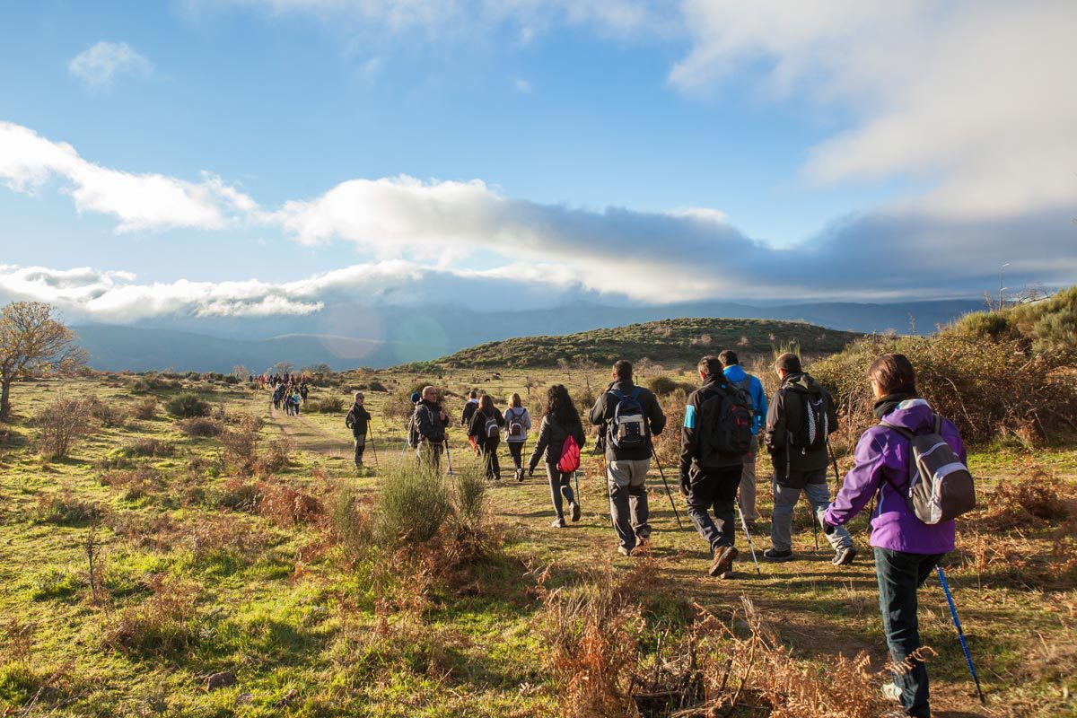 Senderismo: una experiencia inolvidable en Cedarville State Forest