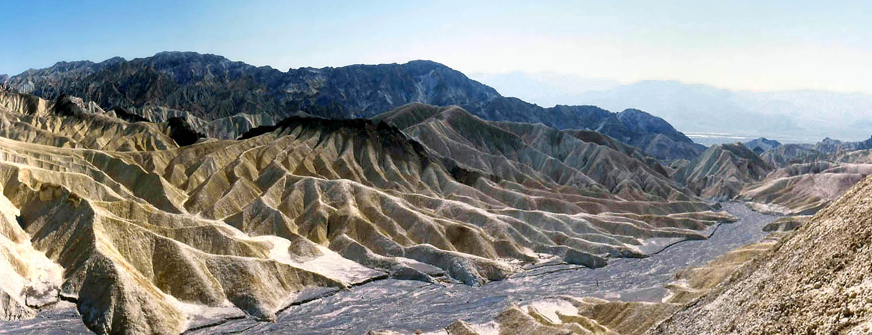 Sumérgete en la impresionante vida silvestre⁣ del Valle de ⁤la Muerte