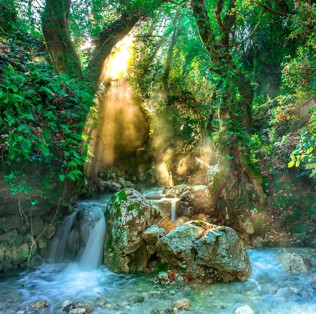 Naturaleza exuberante y vistas impresionantes