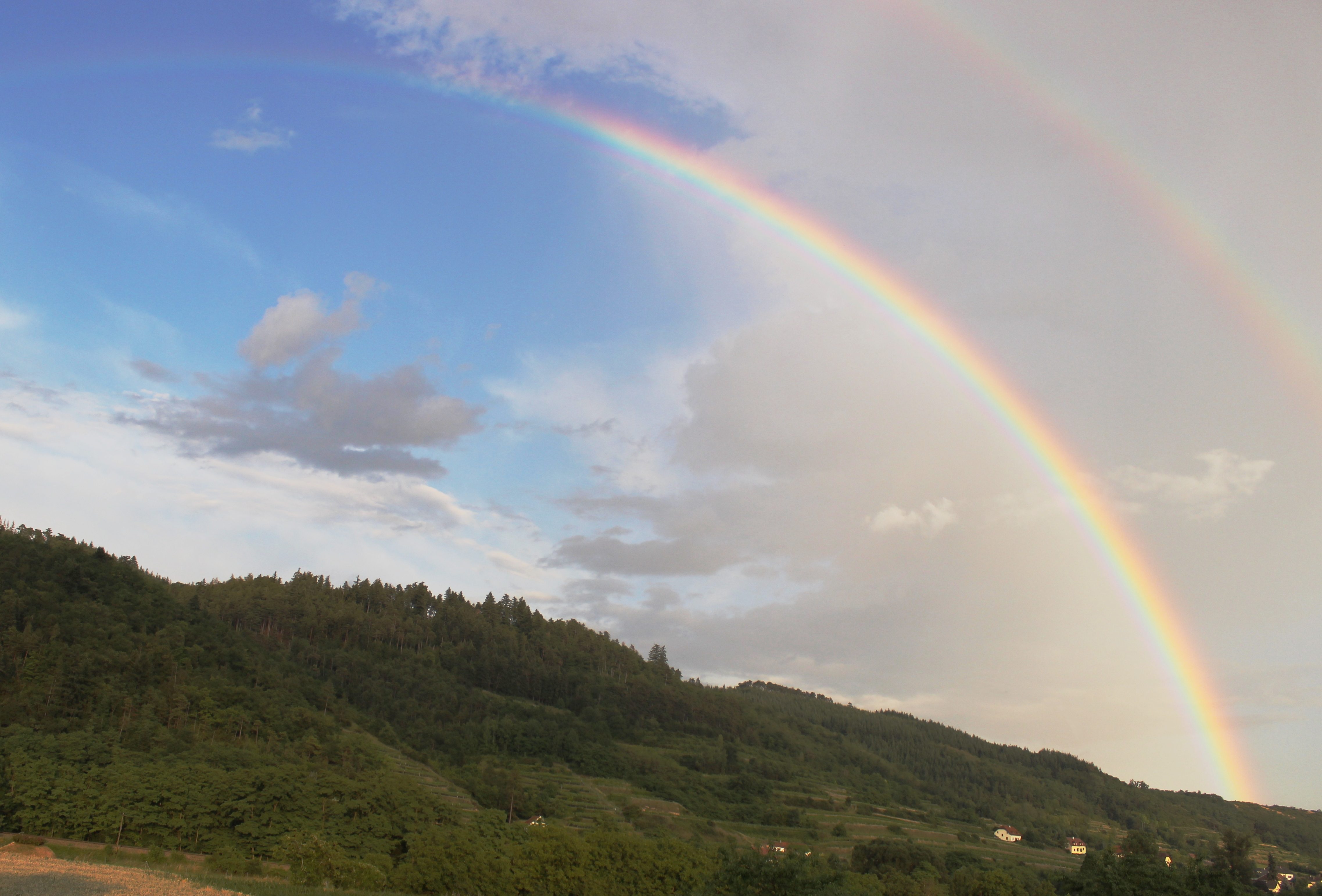 Un espectáculo natural ‌impresionante