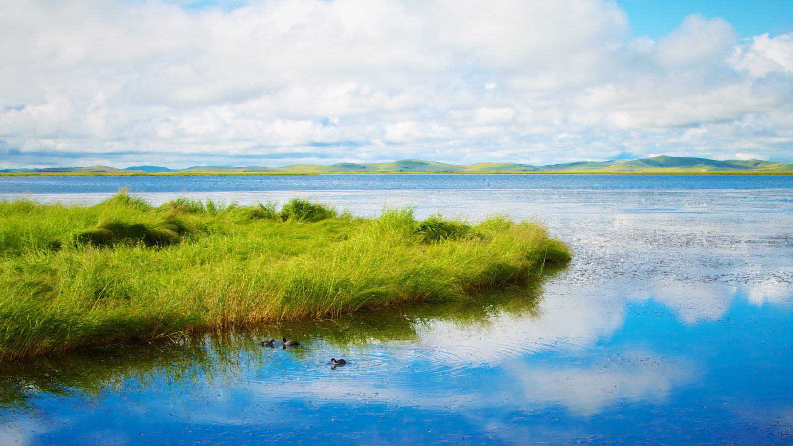 Sumergiéndose en la serenidad y‌ tranquilidad de Sakatah Lake State Park