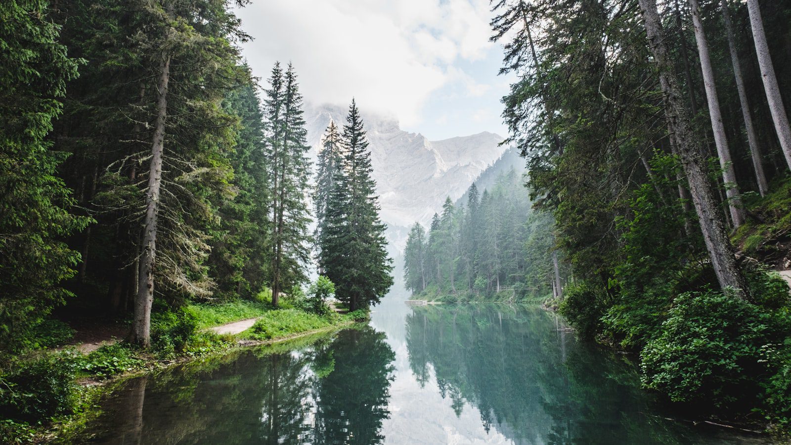 Explorando⁤ la belleza​ natural⁣ de ‌Hillsborough River ‍State Park