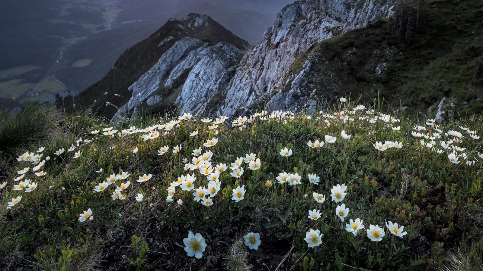 Senderismo entre la exuberante naturaleza