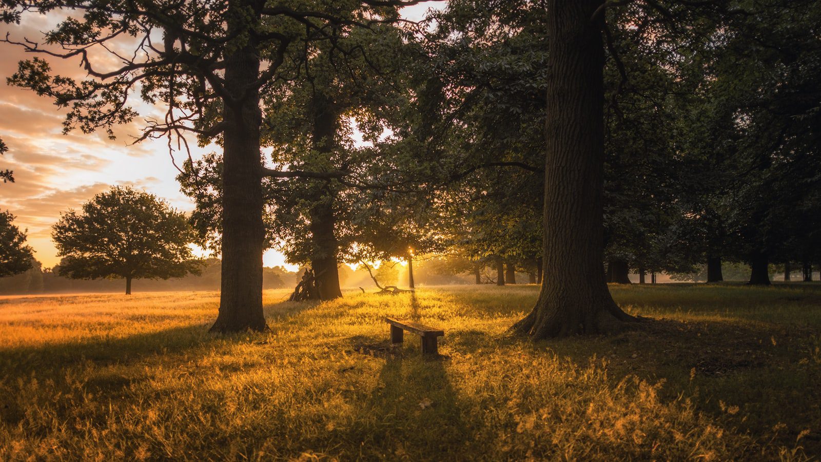 Explora la belleza natural ​de ⁣Meade State Park