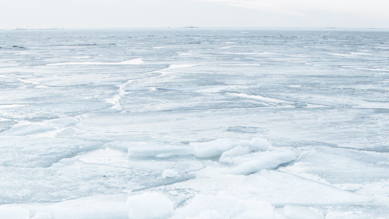 Descubre la diversidad ‌de flora y fauna en ⁣Frozen Head State Park