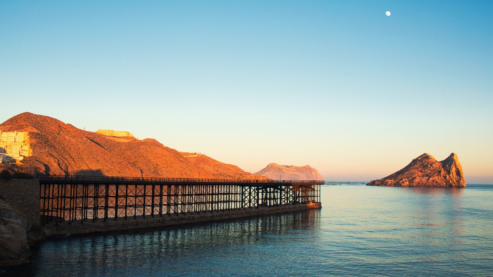 La majestuosidad⁤ de los águilas​ calvas en su​ hábitat natural